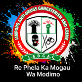 ladgacacademy.co.za